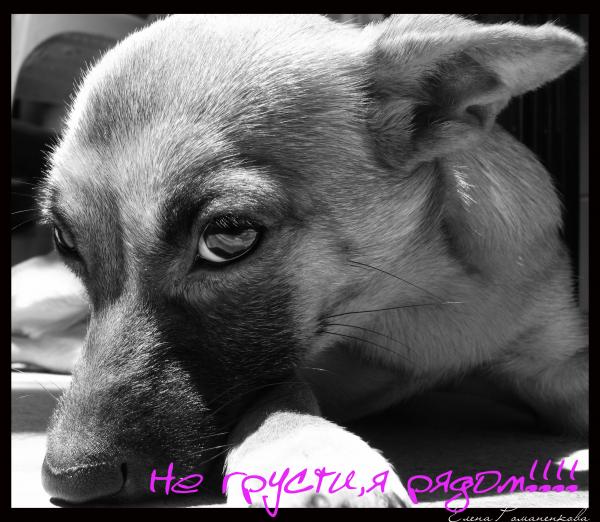 Открытки я всегда буду рядом. Открытки я рядом с тобой скачать бесплатно.