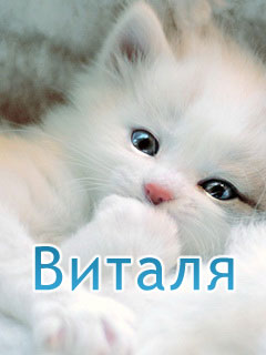 Открытки с именем Виталий скачать бесплатно. Прикольные открытки с мужскими именами. 