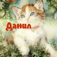 Открытки с именем Даниил gif. Открытки с именем Данил скачать бесплатно.