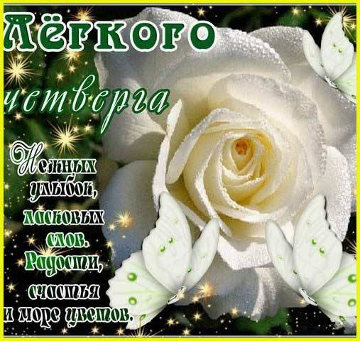 Открытки отличного четверга скачать бесплатно. Прикольные открытки на четверг...