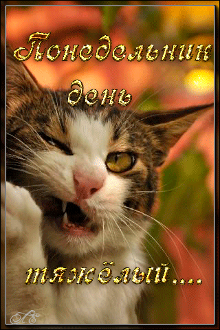 Открытки с наилучшими пожеланиями на понедельник. Открытки на понедельник ска...