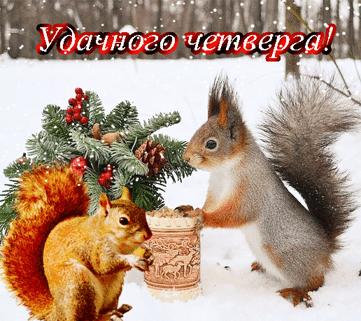 Открытки отличного четверга скачать бесплатно. Прикольные открытки на четверг...