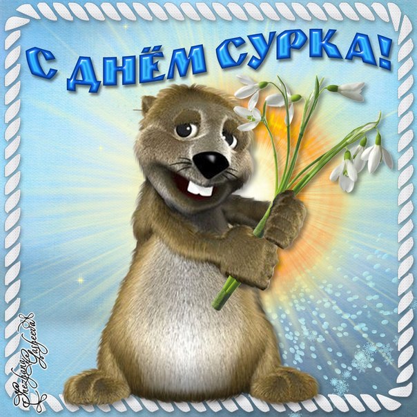 Открытки с днем сурка