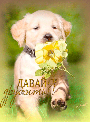 Открытки давай дружить