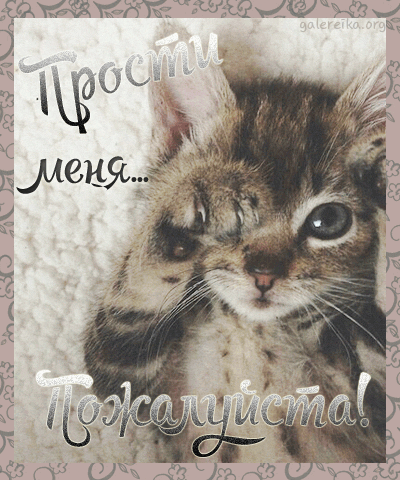 Открытки с извинениями