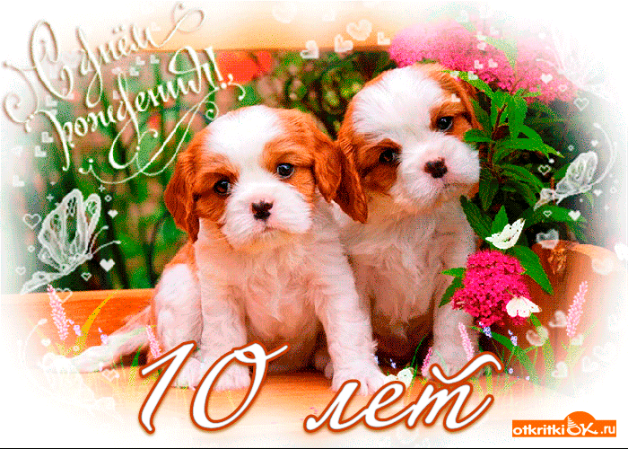 Открытки на 10 лет