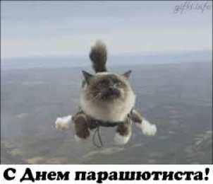 Открытки с днем парашютиста Открытки с днем парашютиста с пожеланиями скачать бесплатно.