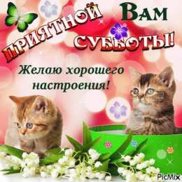 Открытки на субботу Интересные открытки на субботу. Веселые открытки на выходные.