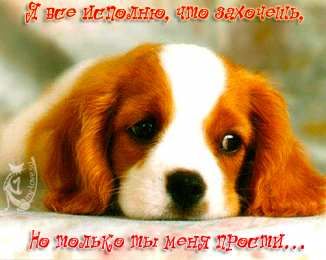 Открытки давай мириться Электронные открытки давай помиримся скачать бесплатно.     