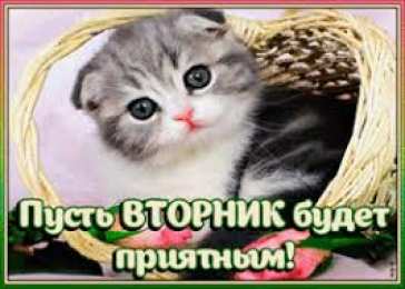 Открытки Открытки на вторник Позитивные открытки на вторник. Картинки про вторник скачать бесплатно. анимационные открытки на вторник. Открытки на каждый день недели скачать бесплатно. Картинки вторник на работу. Открытки с пожеланиями удачного вторника скачать.