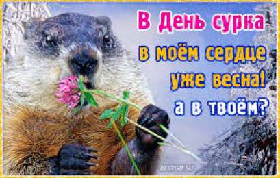 Открытки с днем сурка Веселые открытки с приколами на день сурка скачать бесплатно
