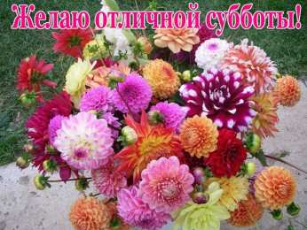 Открытки на субботу Интересные открытки на субботу. Веселые открытки на выходные.
