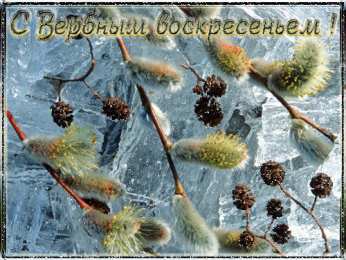 Открытки с Вербным Воскресеньем Поздравительные открытки с Вербным Воскресеньем скачать бесплатно.