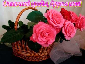 Открытки на среду Открытки с пожеланиями отличной среды. Красивые открытки на среду.