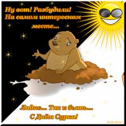 Открытки с днем сурка Веселые открытки с приколами на день сурка скачать бесплатно