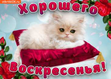 Открытки на воскресенье Мерцающие открытки про воскресенье. Открытки на воскресное утро.