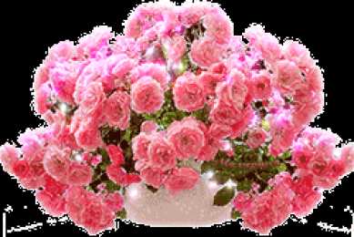 Открытки с цветами Красивые анимационные открытки с цветами на любой вкус бесплатно.