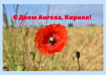 Открытки с именем Кирилл С днём рождения Кирилл открытки. Открытки с поздравлениями Кириллу.