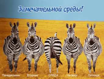 Открытки на среду Открытки с пожеланиями отличной среды. Красивые открытки на среду.