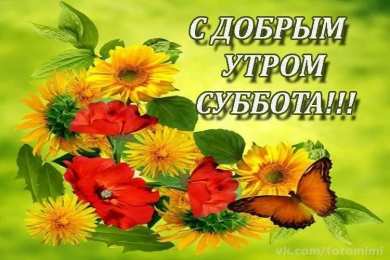 Открытки на субботу Интересные открытки на субботу. Веселые открытки на выходные.