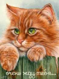 Открытки жду тебя Открытки я жду тебя gif. Открытки возвращайся скорее скачать бесплатно.