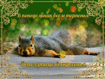 Открытки на понедельник Открытки с пожеланиями легкого понедельника скачать бесплатно.