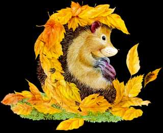 Открытки Золотая Осень  Чудесные открытки на тему Золотая Осень скачать бесплатно gif.