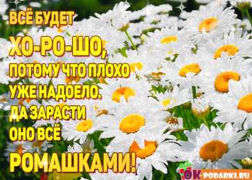 Открытки все будет хорошо Веселые открытки с пожеланиями все будет хорошо скачать бесплатно.