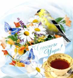 Открытки с добрым утром Открытка с пожеланиями доброго утра на каждый день скачать бесплатно 