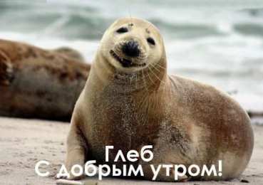 Открытки с именем Глеб Анимационные открытки с именем Глеб. Открытки с днём рождения Глеб.