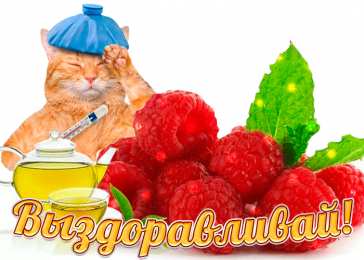 Открытки скорейшего выздоровления Открытки скорейшего выздоровления скачать бесплатно в формате gif.