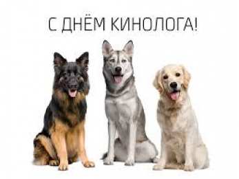 Открытки с днем кинолога Открытки с пожеланиями на день кинолога скачать бесплатно.    