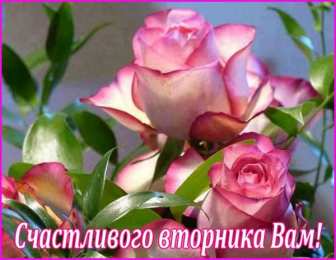 Открытки Открытки на вторник Позитивные открытки на вторник. Картинки про вторник скачать бесплатно. Прикольные открытки на тему сегодня вторник. Открытки с приколами на тему вторник. Мерцающие открытки счастливого вторника. Картинки с пожеланиями легкого вторника. 