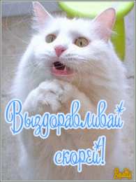 Открытки скорейшего выздоровления Открытки скорейшего выздоровления скачать бесплатно в формате gif.