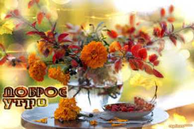 Открытки Открытки с добрым утром Открытка с пожеланиями доброго утра на каждый день скачать бесплатно  Открытки доброе утро скачать бесплатно. Анимационные картинки с пожеланиями удачного утра. Хорошего начала дня открытки gif. Открытки для вотсапа с добрым утром. Открытка с пожеланиями доброго утра на каждый день.