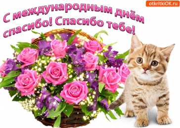 Открытки с днем спасибо Благодарственные открытки на день спасибо скачать бесплатно.