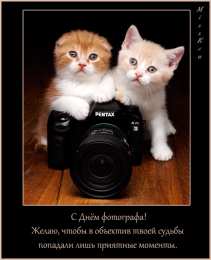 Открытки с днем фотографа Поздравительные открытки с днем фотографа скачать бесплатно.