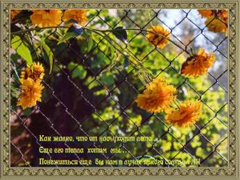 Открытки с последним днем лета Открытки с последним днем лета скачать бесплатно. Открытки прощай лето.