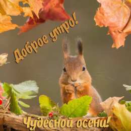 Открытки Золотая Осень  Чудесные открытки на тему Золотая Осень скачать бесплатно gif.