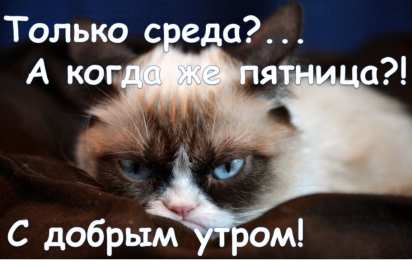 Открытки на среду Открытки с пожеланиями отличной среды. Красивые открытки на среду.