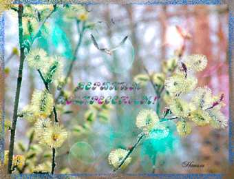 Открытки с Вербным Воскресеньем Поздравительные открытки с Вербным Воскресеньем скачать бесплатно.