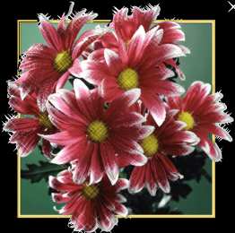 Открытки с цветами Открытки с цветами на день рождения. Картинки с букетом цветов. 