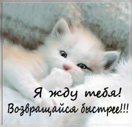 Открытки жду тебя Открытки я жду тебя gif. Открытки возвращайся скорее скачать бесплатно.