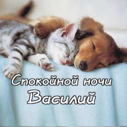 Открытки с именем Василий Анимационные открытки с именем Василий. Открытки с днём рождения Вася.