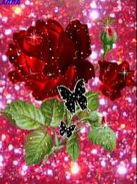 Открытки с цветами Открытки с полевыми цветами. Красивые открытки с цветами с пожеланиями. 