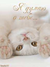 Открытки думаю о тебе Анимационные открытки с признаниями. Открытки думаю о тебе gif.