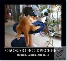 Открытки на воскресенье Мерцающие открытки про воскресенье. Открытки на воскресное утро.