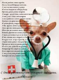 Открытки с днем ветеринара Поздравительные открытки с днем ветеринара скачать бесплатно.