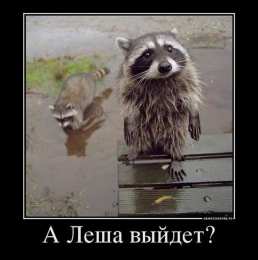 Открытки с именем Алексей Открытки с именем Алексей скачать бесплатно. Открытки с именем Леша.