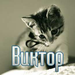 Открытки с именем Виктор Скачать открытки с именем Витя. Открытки с днём рождения Виктору.